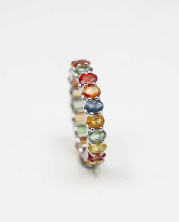 Rashmi Multi Coloured
